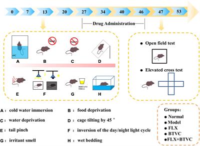 The antidepressant effects and serum metabonomics of bifid triple viable capsule in a rat model of chronic unpredictable mild stress